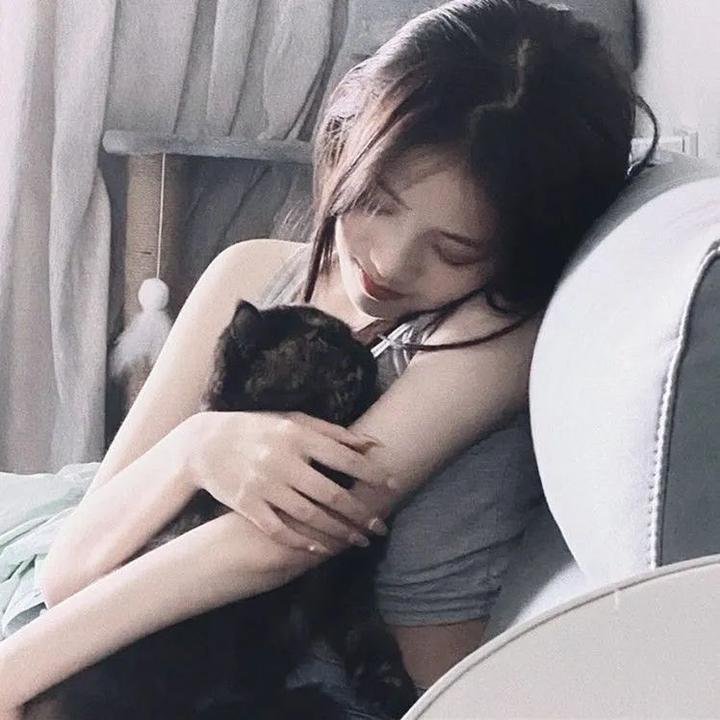 青春皇家恋曲